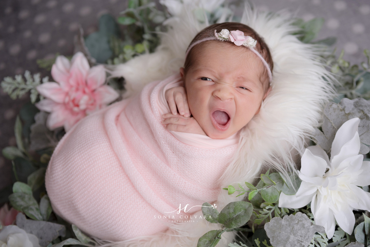 ensaio-newborn-em-domicilio-
book-newborn-menina-sp