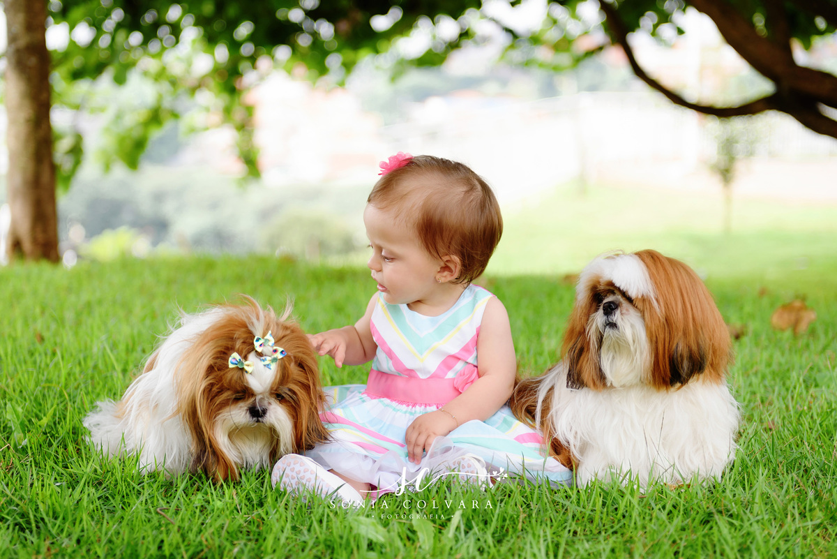 smash-the-cake-sessão-1-ano-cake-smash-menina-sp