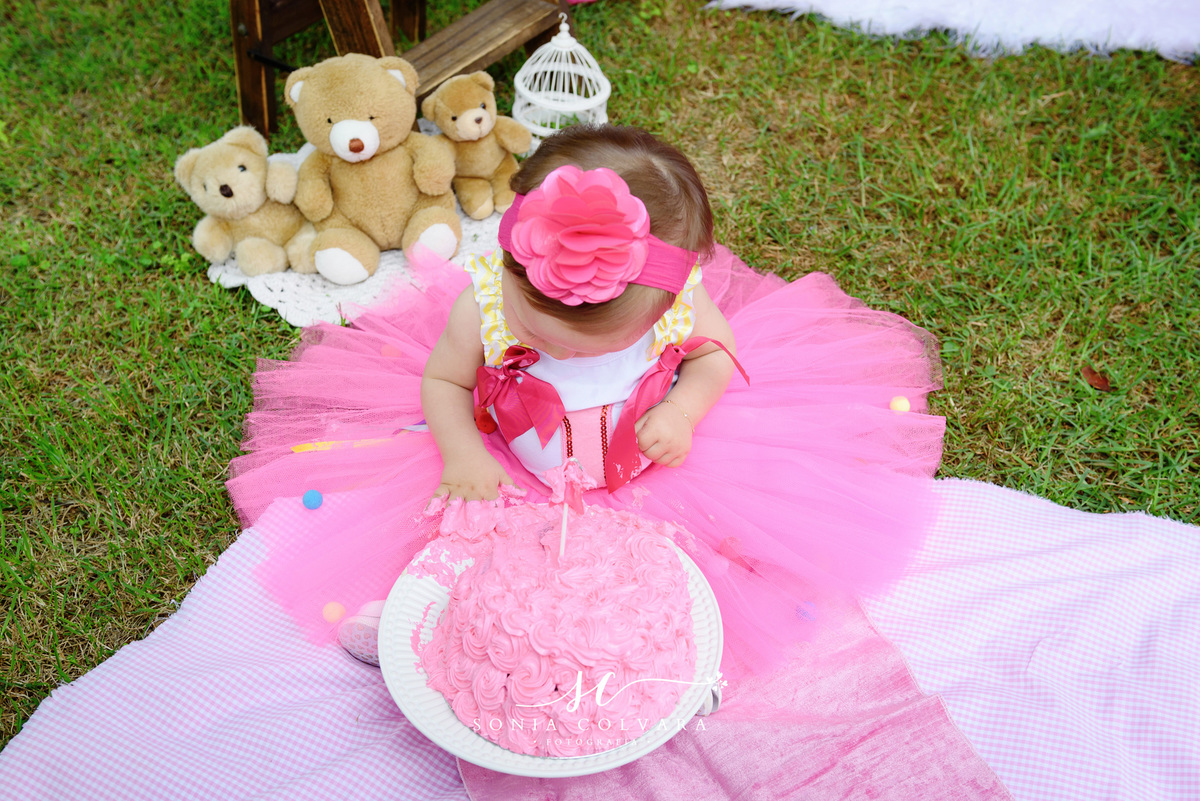 smash-the-cake-sessão-1-ano-cake-smash-menina-sp