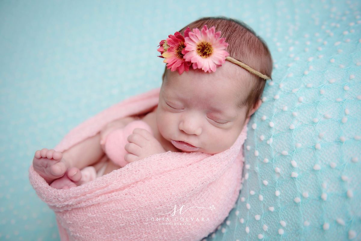 ensaio-newborn-de-recém-nascida-menina-newborn-em-casa-domicilio-sp
