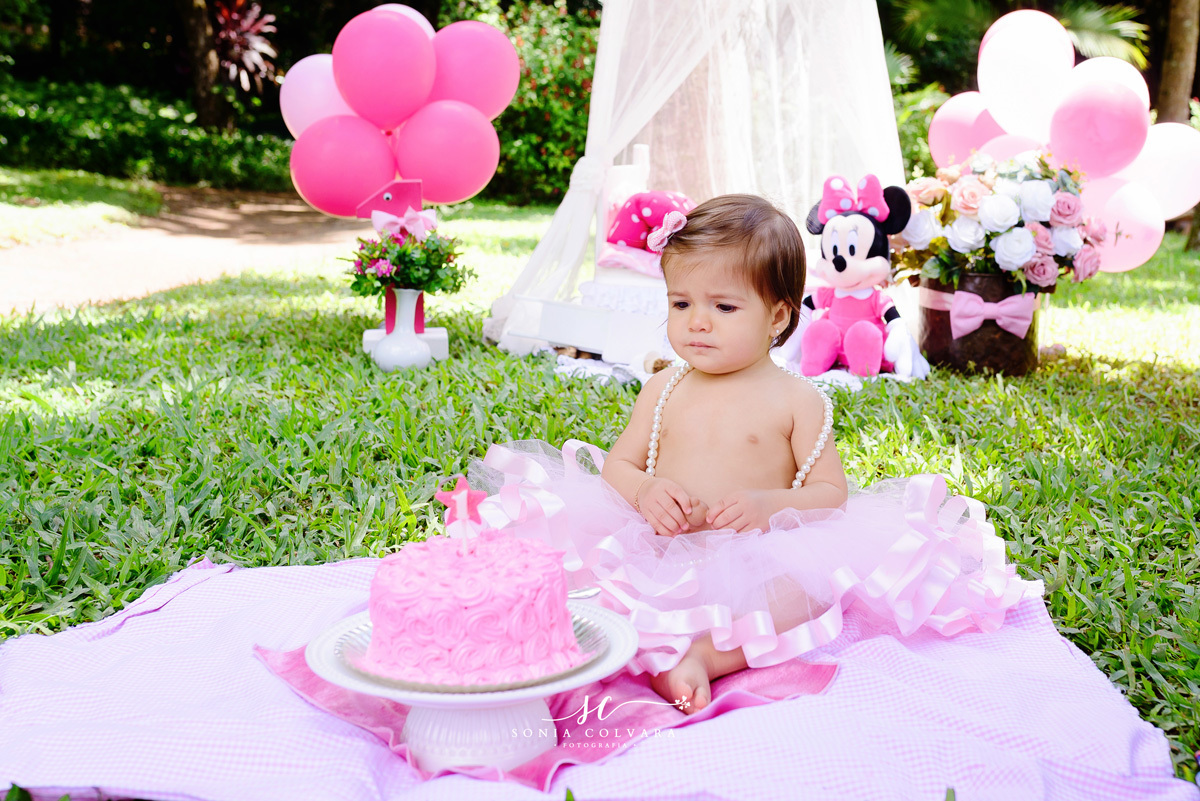 smash-the-cake-de-minnie-rosa-1-ano-sp