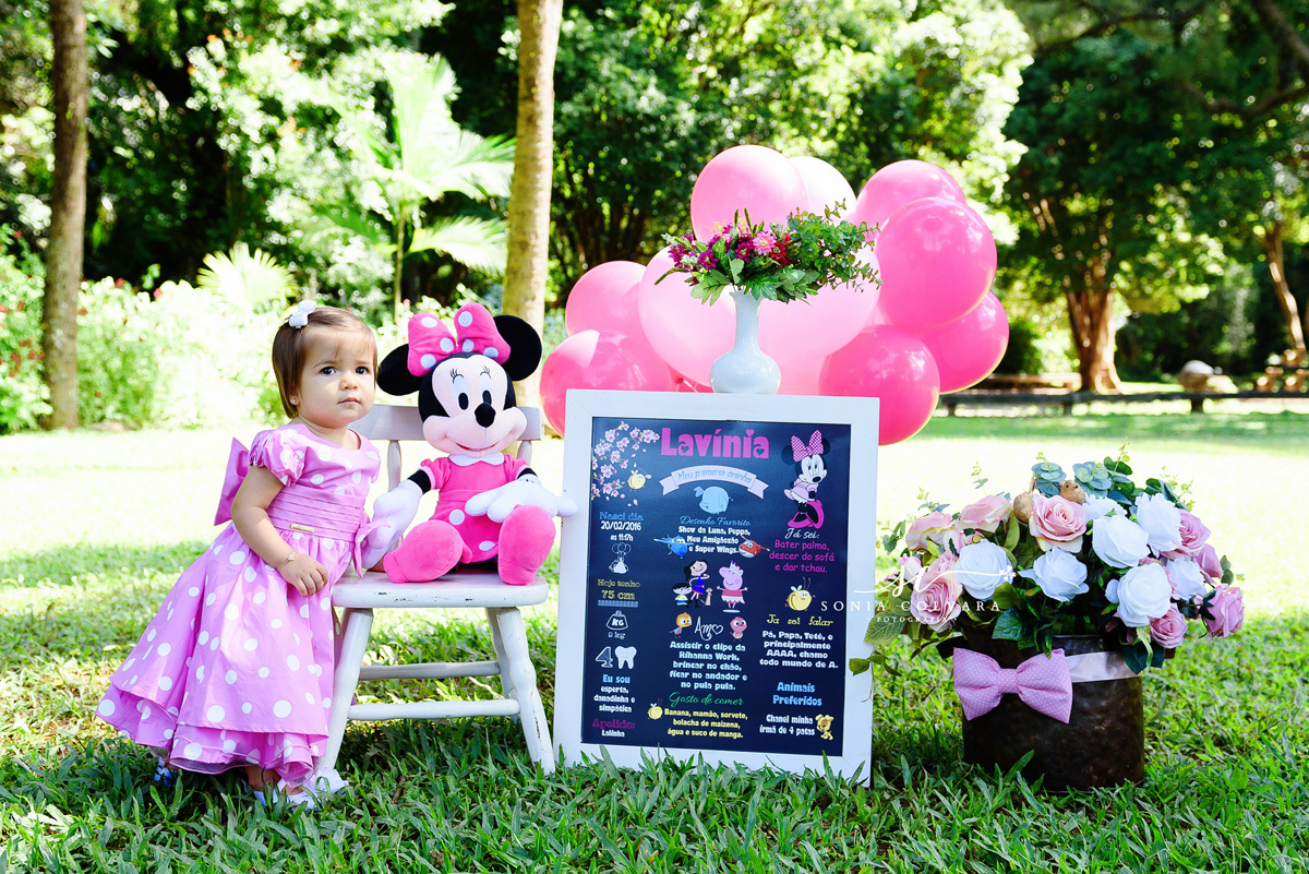 ensaio-smash-the-cake-de-menina-minnie-rosa-1-ano-sp