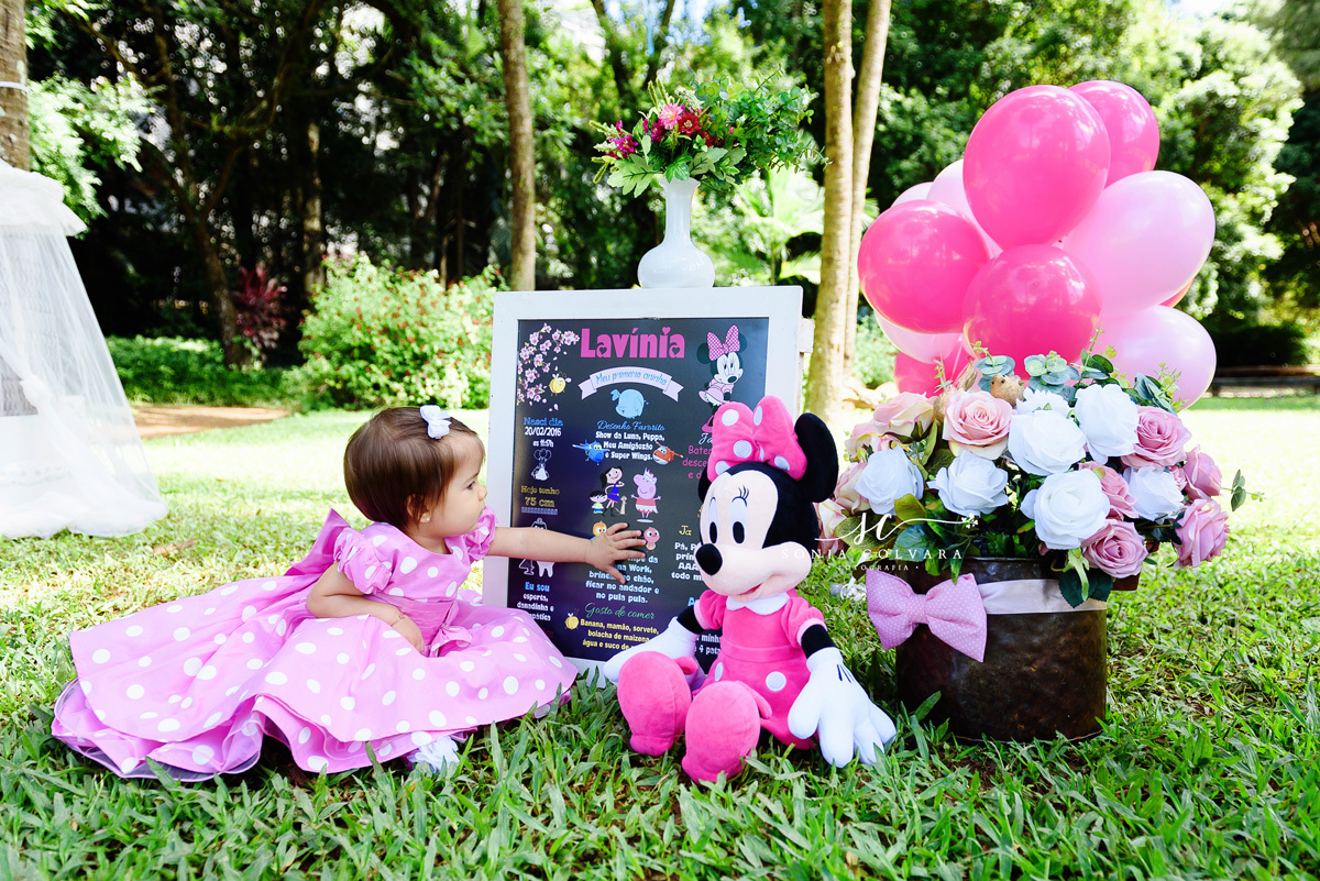 ensaio-smash-the-cake-menina-minnie-rosa-1-ano-sp