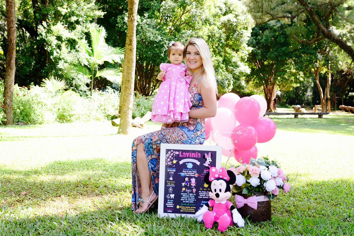 smash-the-cake-de-menina-minnie-rosa-1-ano-sp