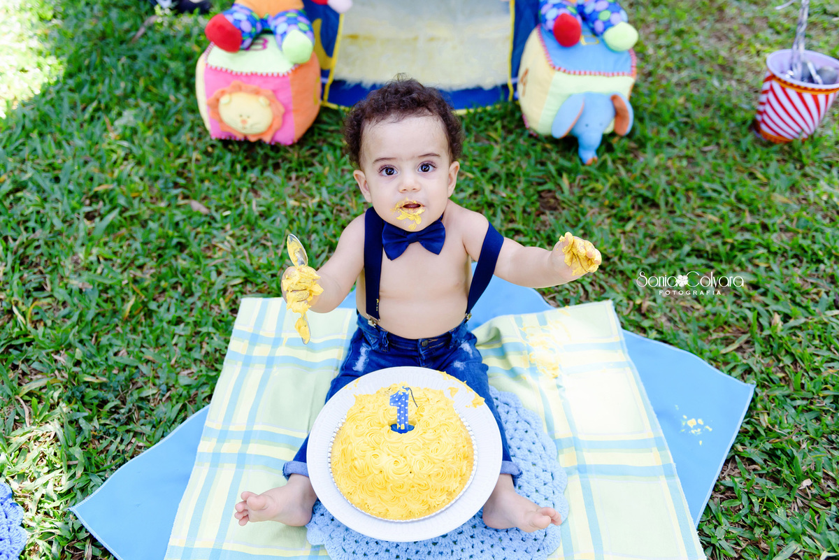 smash-the-cake-ensaio-1-ano-circo