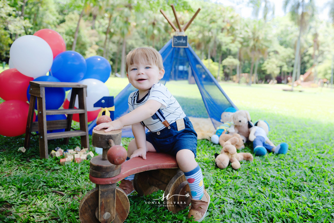 smash-the-cake-ensaio-book-de-1-ano-infantil