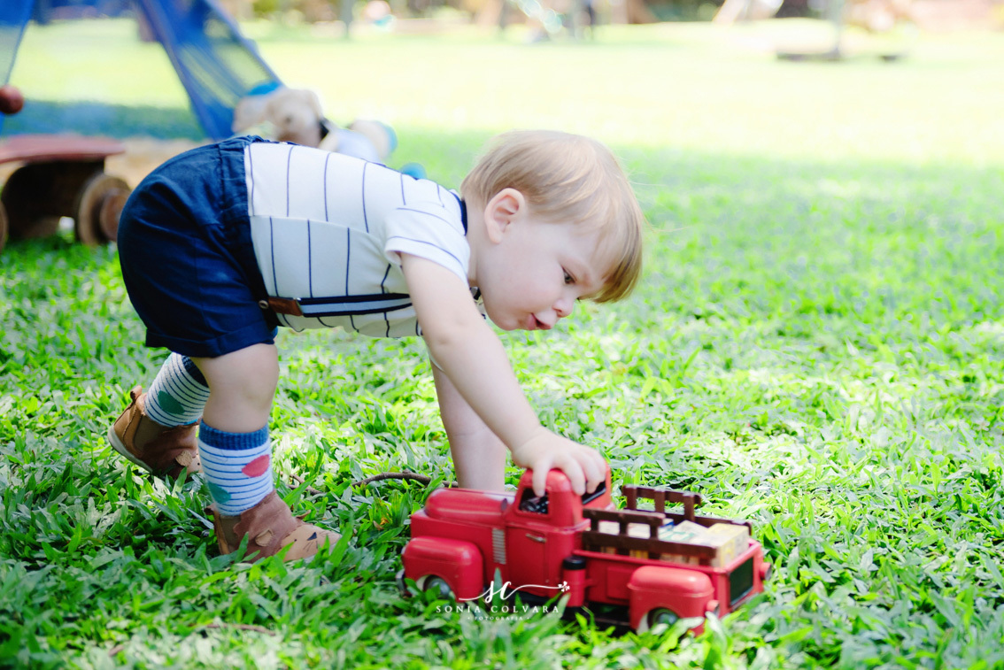 smash-the-cake-ensaio-book-de-1-ano-infantil