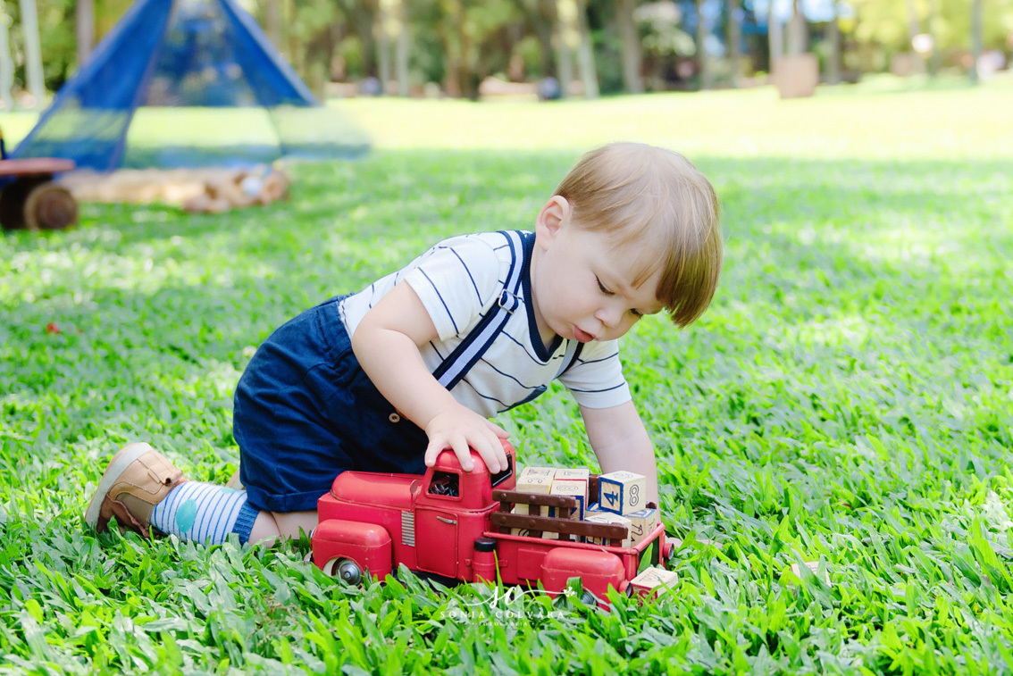 smash-the-cake-ensaio-book-de-1-ano-infantil