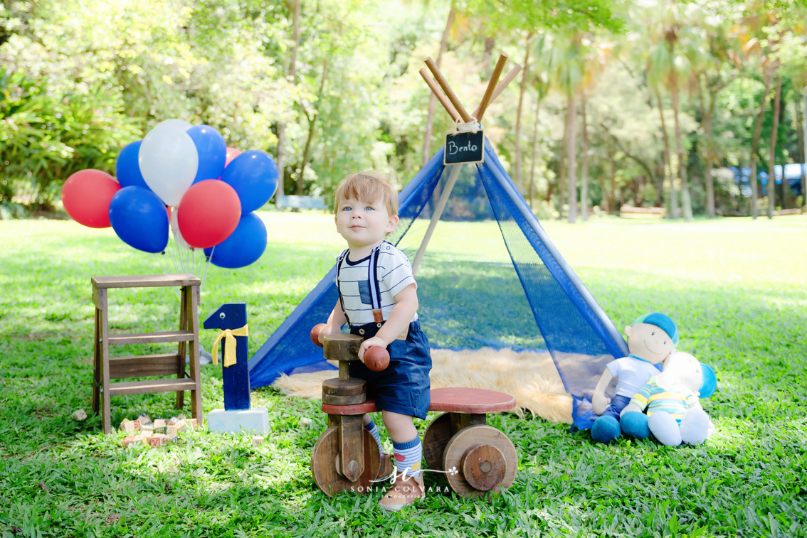 smash-the-cake-ensaio-book-de-1-ano-infantil