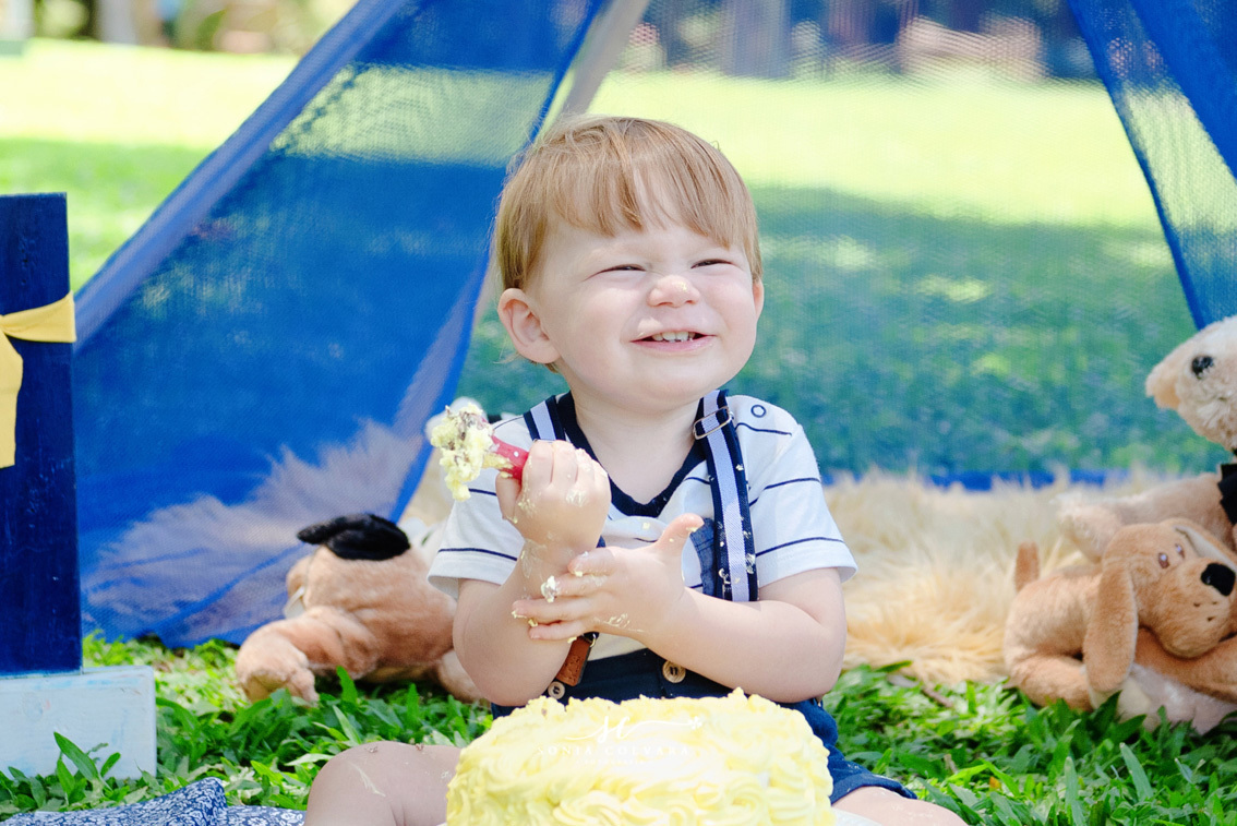 smash-the-cake-ensaio-book-de-1-ano-infantil