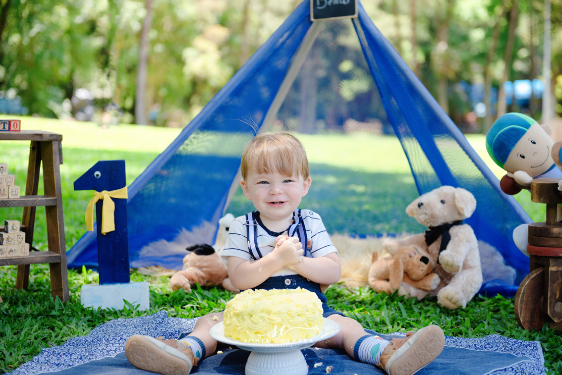 smash-the-cake-ensaio-book-de-1-ano-infantil