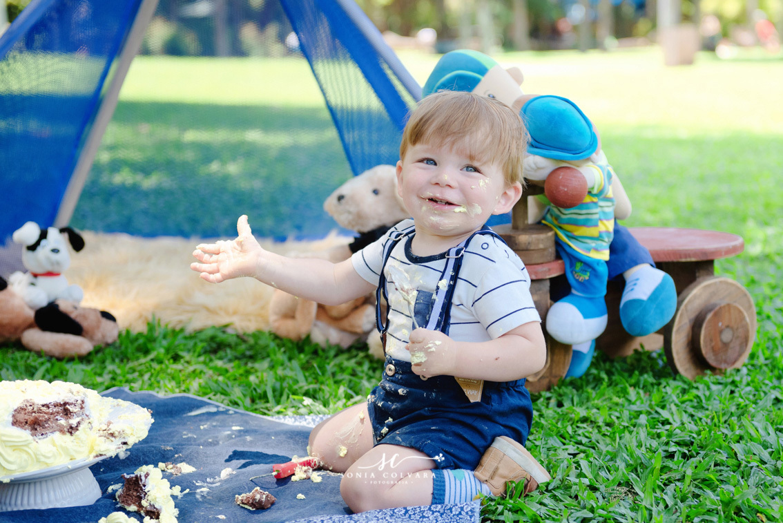 smash-the-cake-ensaio-book-de-1-ano-infantil