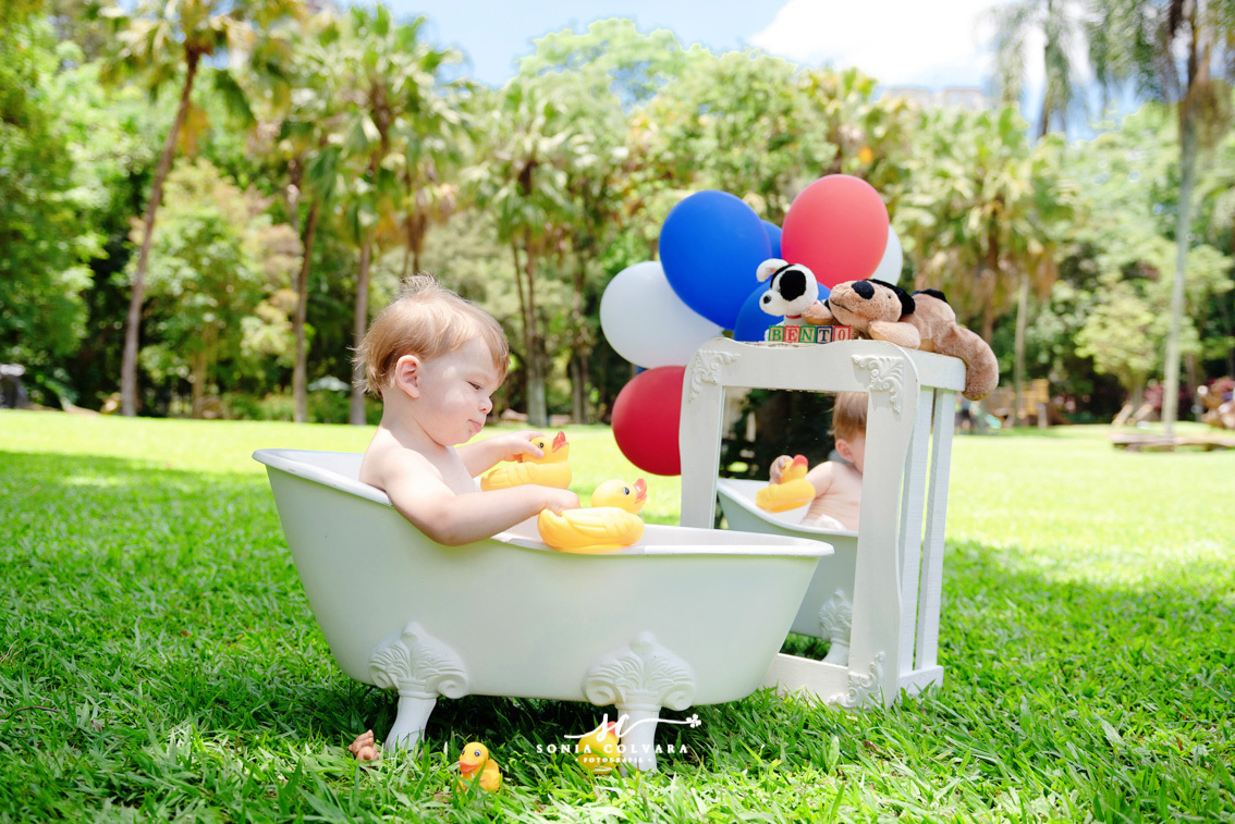 smash-the-cake-ensaio-book-de-1-ano-infantil