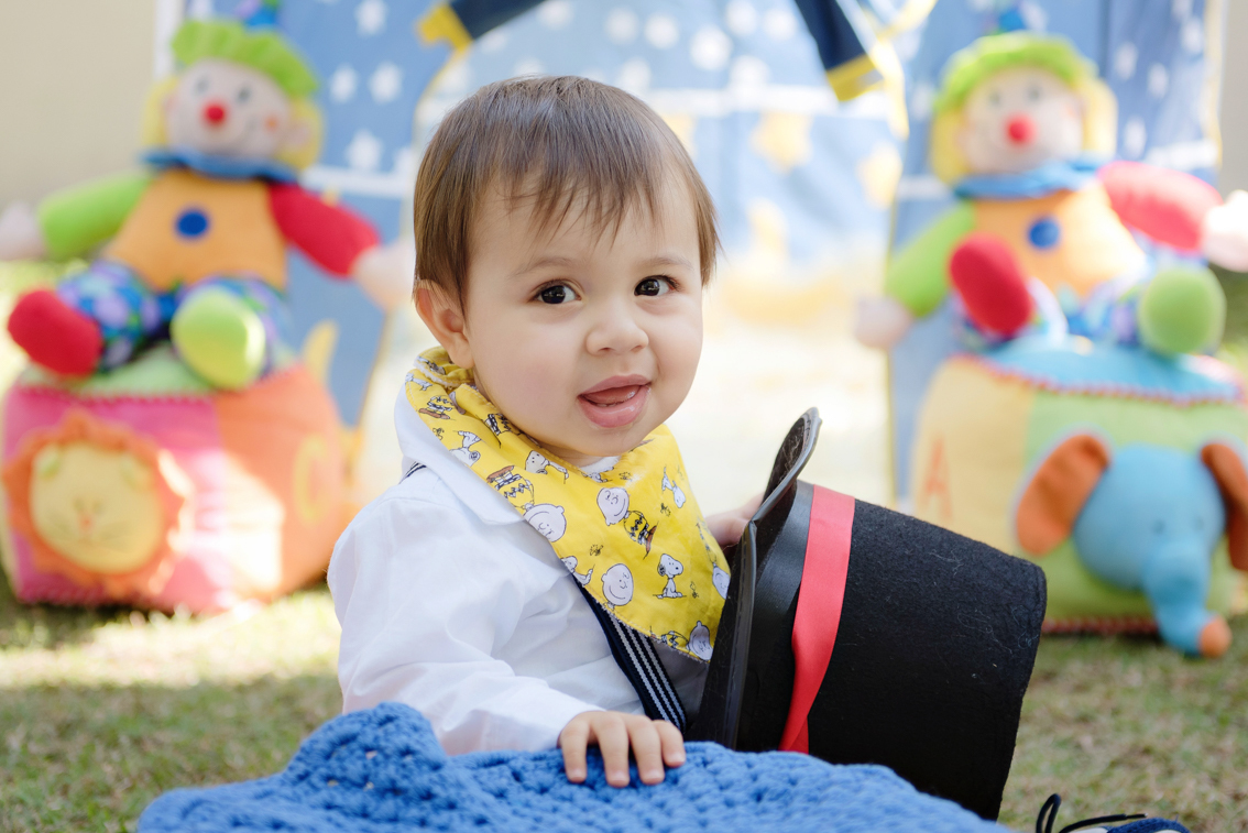 book-menino-um-ano-tema-circo-Sonia-Colvara-sp