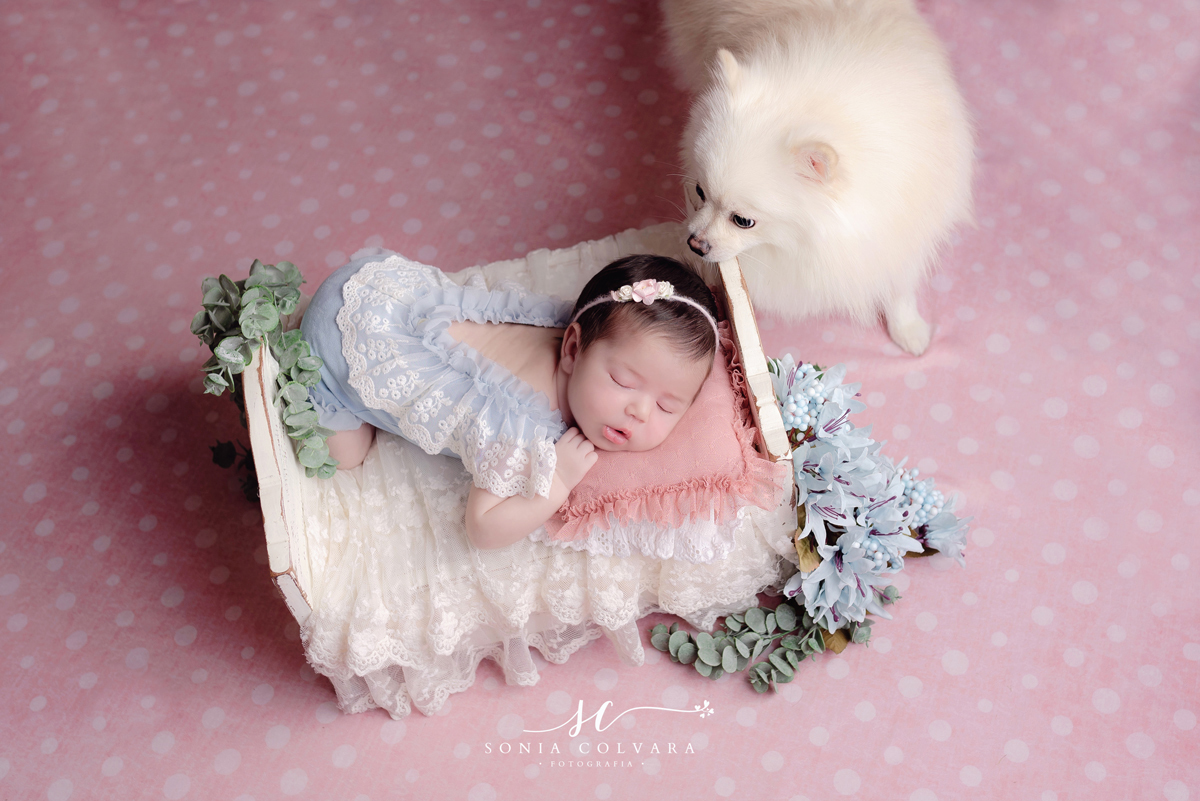 ensaio-newborn-com-o-pet-em-domicilio-de-menina-em-sp-soniacolvara