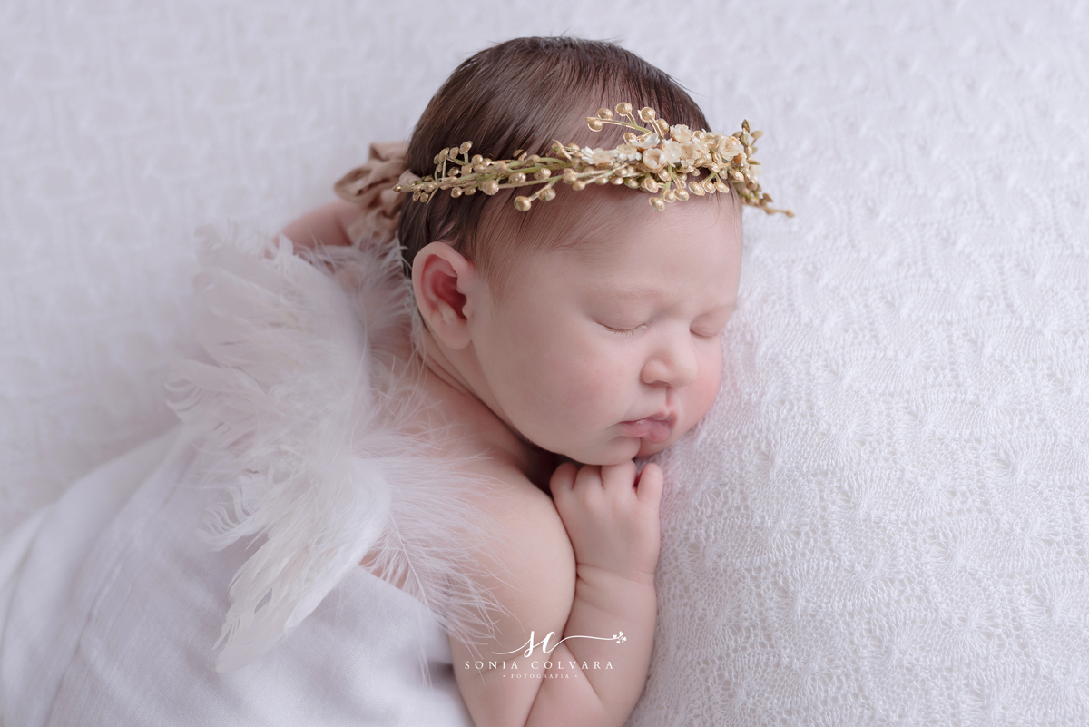 book-de-ensaio-newborn-de-menina-newborn-de-menina-sp-ensaio-newborn-de-menina-sp-newborn-recém-nascida-em-domicilio-sp-soniacolvara