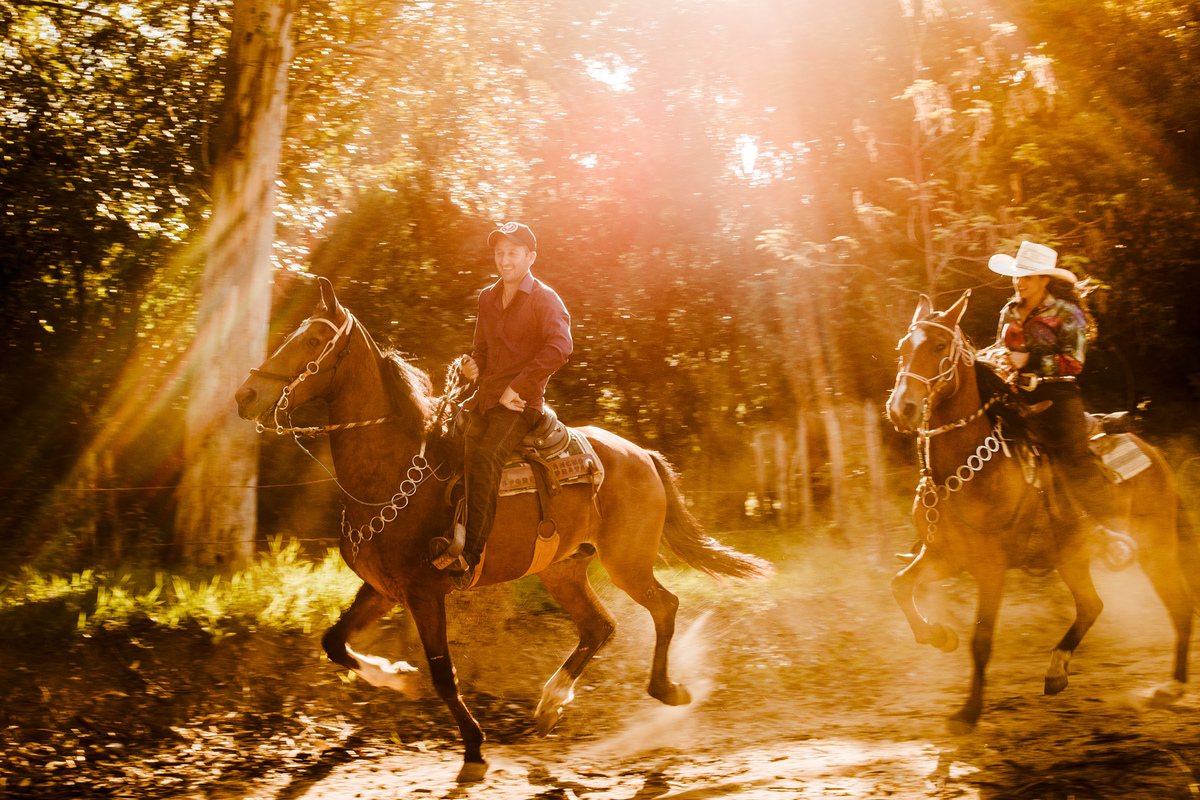 casal cavalos ensaio com cavalos casal com a natureza ensaio com cavalo e a natureza ensaio de casamento book de casal fotografo casamento pouso alegre sul de minas cambui ensaio casal espontaneas