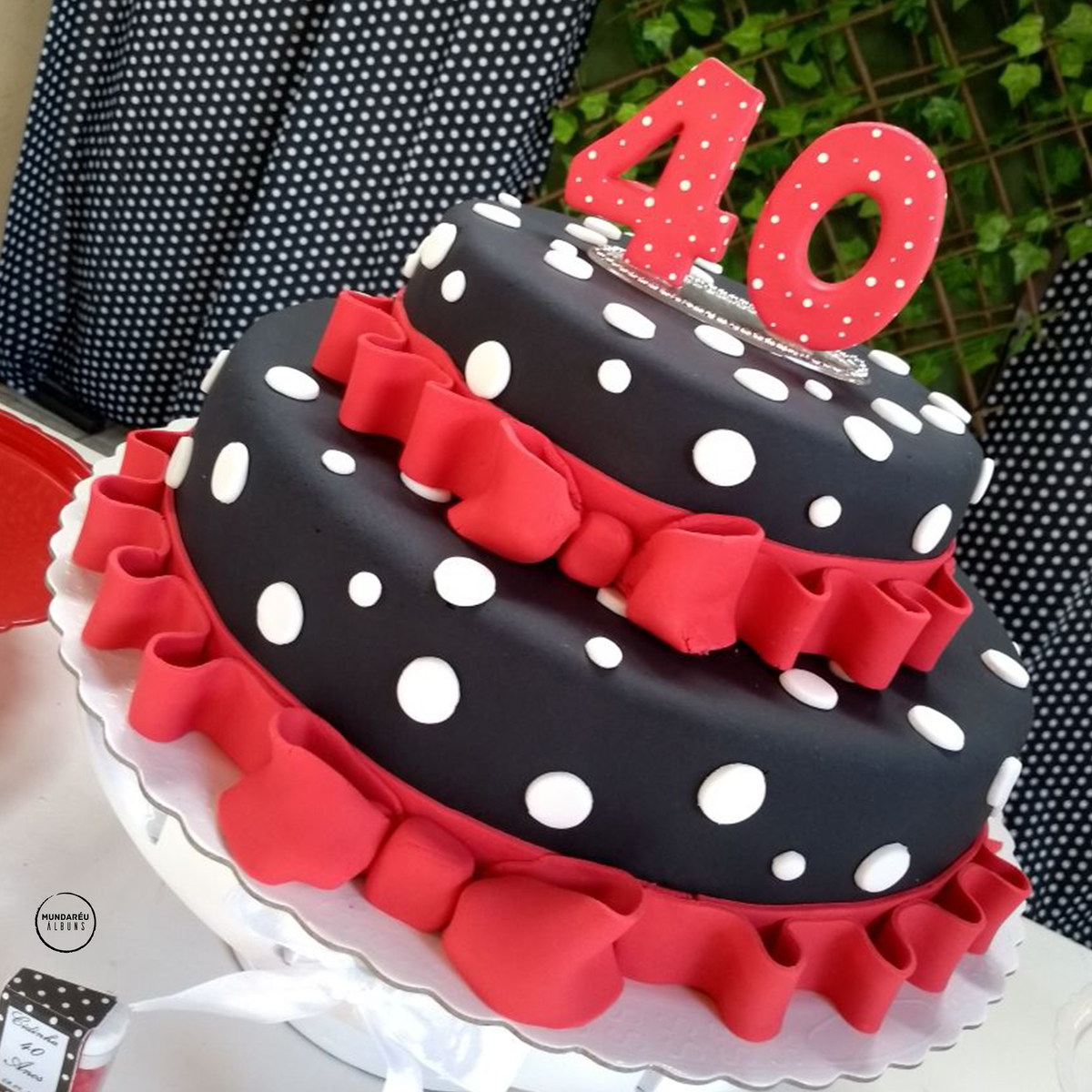 capa do estojo fotográfico do álbum de aniversário quarenta anos