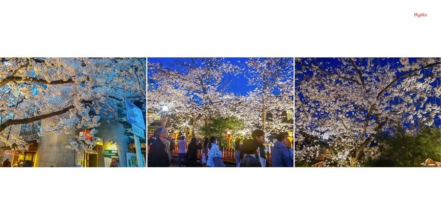 album de viagem aberto com as fotos das cerejeiras em flor nas ruas de kyoto no japao com abertura panoramica capa escolhida para iolanda são paulo sp album de fotos por Clovis Augusto com a marca Mundareu Albuns