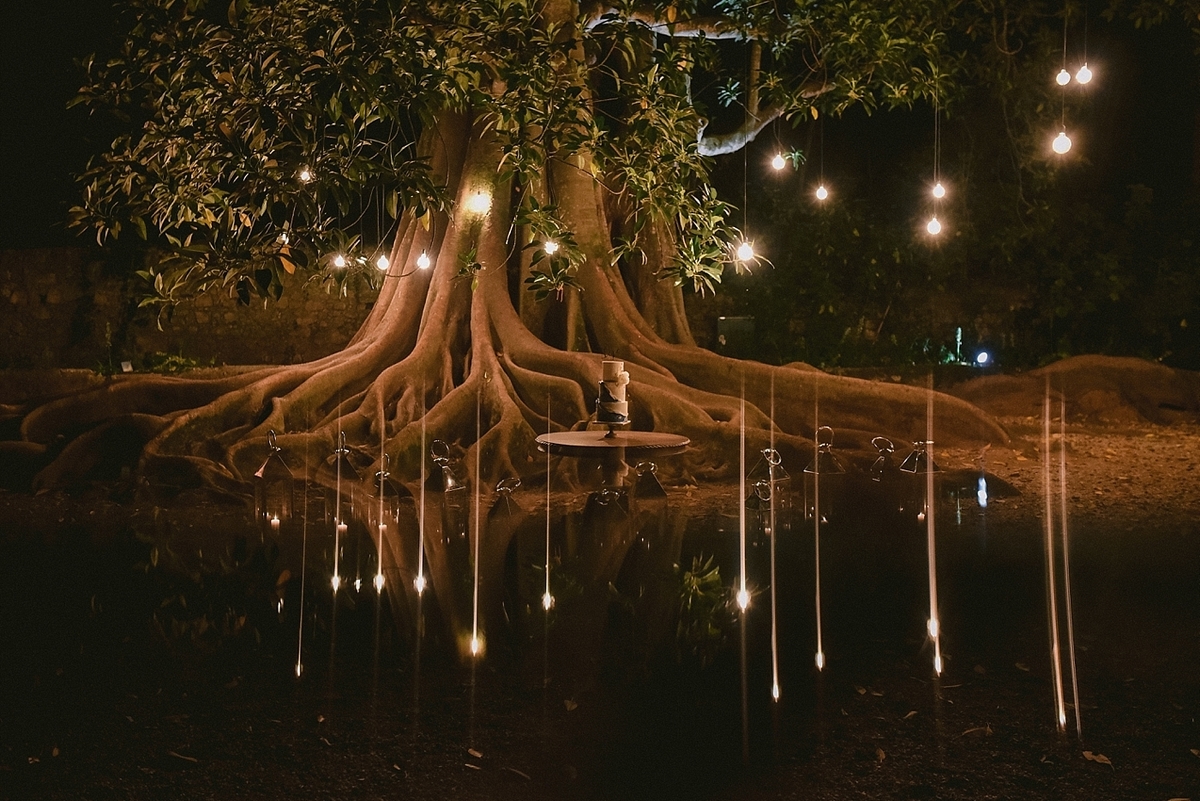 árvore da borracha na quinta das lagrimas decorada com um bolo de noiva
