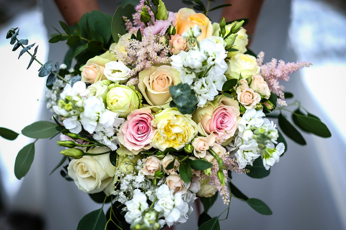 Fotografo - Video - Bruno Quadros FotografiaFotografo - Video - Bruno Quadros Fotografia