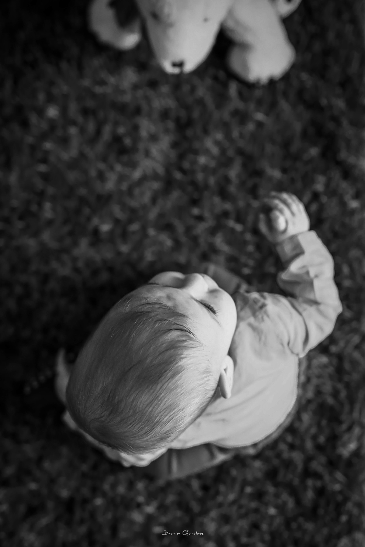 Bruno Quadros Fotografia