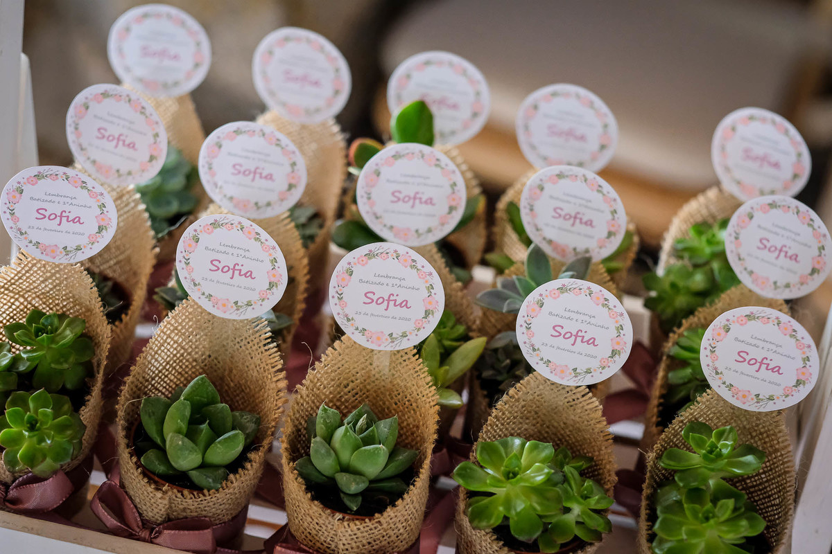 Batismo - Fotografo - Viseu