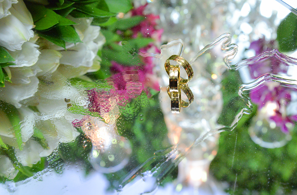 alianças-tânia-e-Rafael