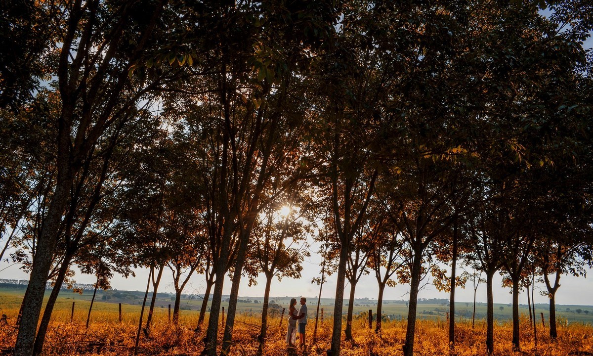casal em seringueira 
