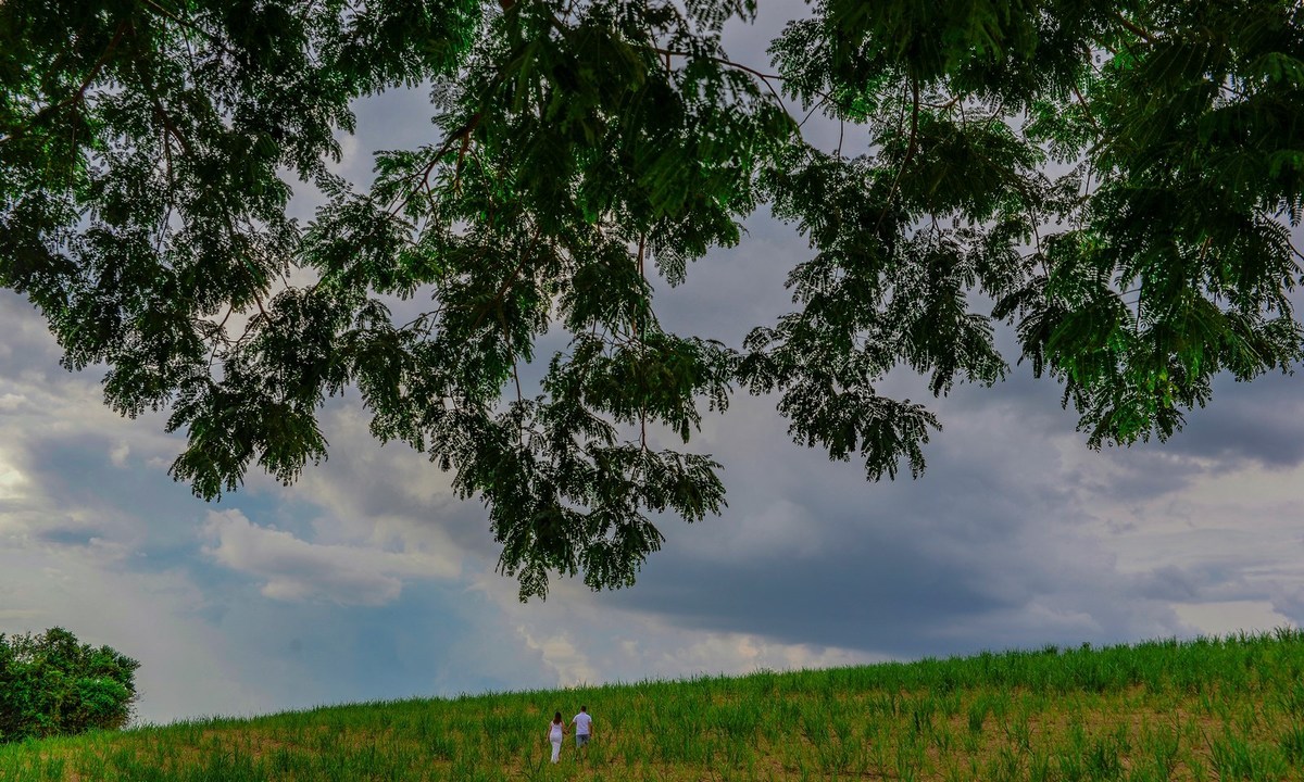 Casal no campo em meio canavial  (fotografia de casamento André Monteiro)
