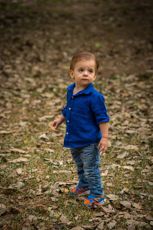 ensaio familia kids parque do Ibirapuera Álbum Família fotos de crianças