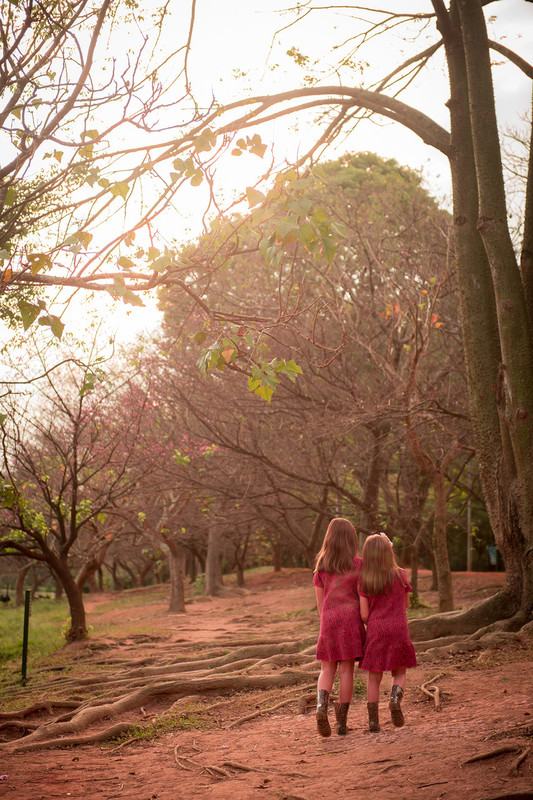 ensaio familia kids parque do Ibirapuera Álbum Família fotos de crianças