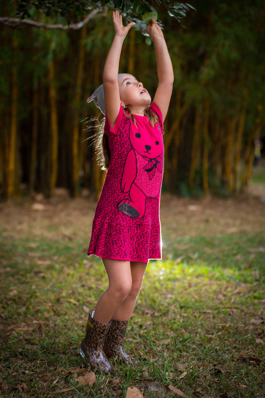 ensaio familia kids parque do Ibirapuera Álbum Família fotos de crianças