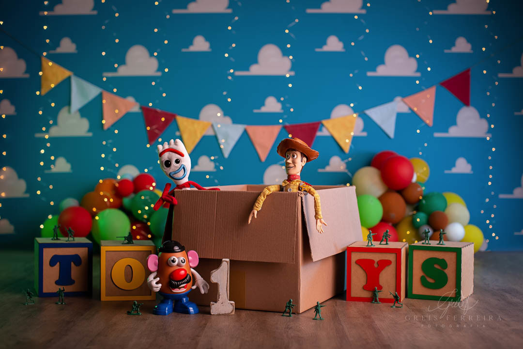smash the cake toy story ensaio de aniversario de bebe de 1 ano