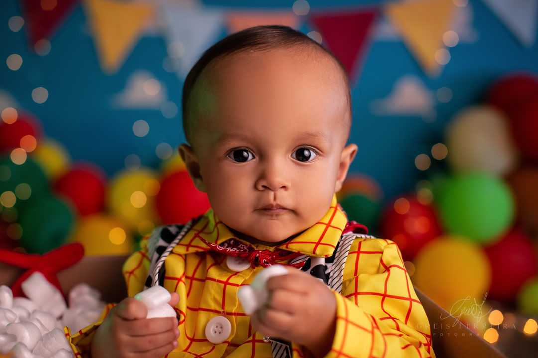 smash the cake toy story ensaio de aniversario de bebe de 1 ano vestido de woody olhando para frente