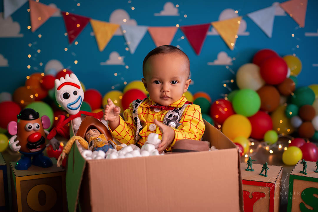 smash the cake toy story ensaio de aniversario de bebe de 1 ano vestido de woody dentro da caixa de papelao