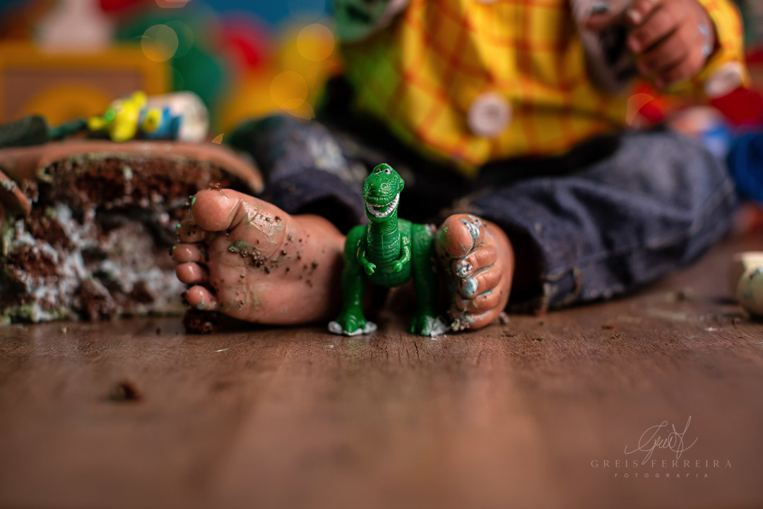 smash the cake toy story ensaio de aniversario de bebe de 1 ano vestido de woody e dinossauro entre as pernas