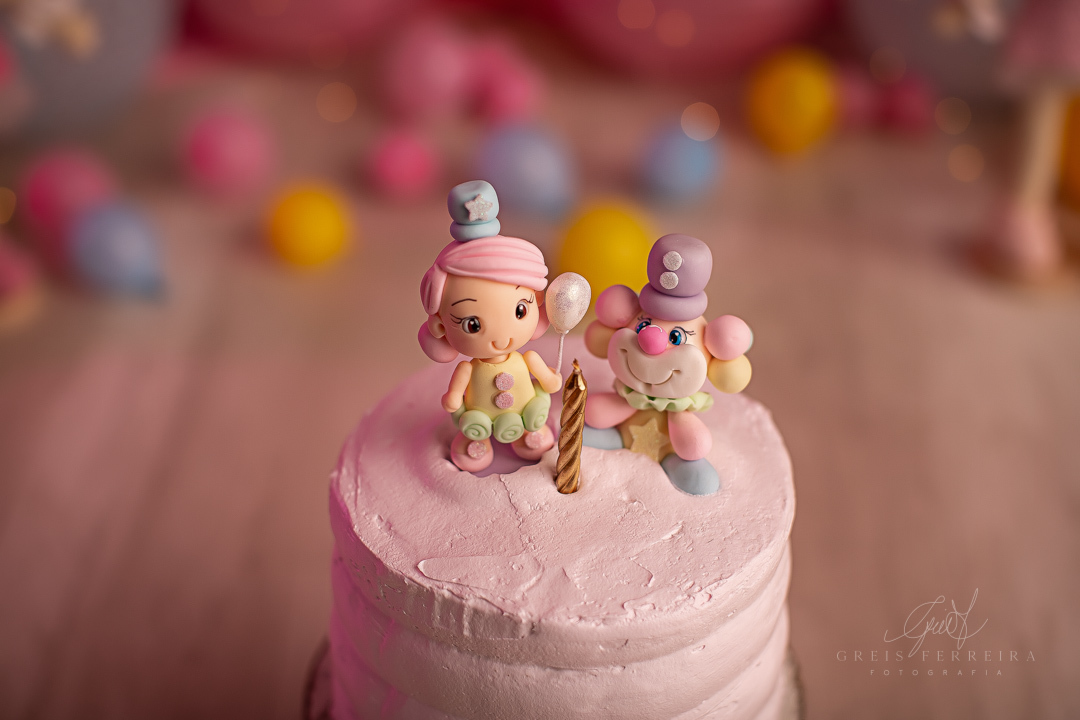 smash the cake circo rosa ensaio de aniversario