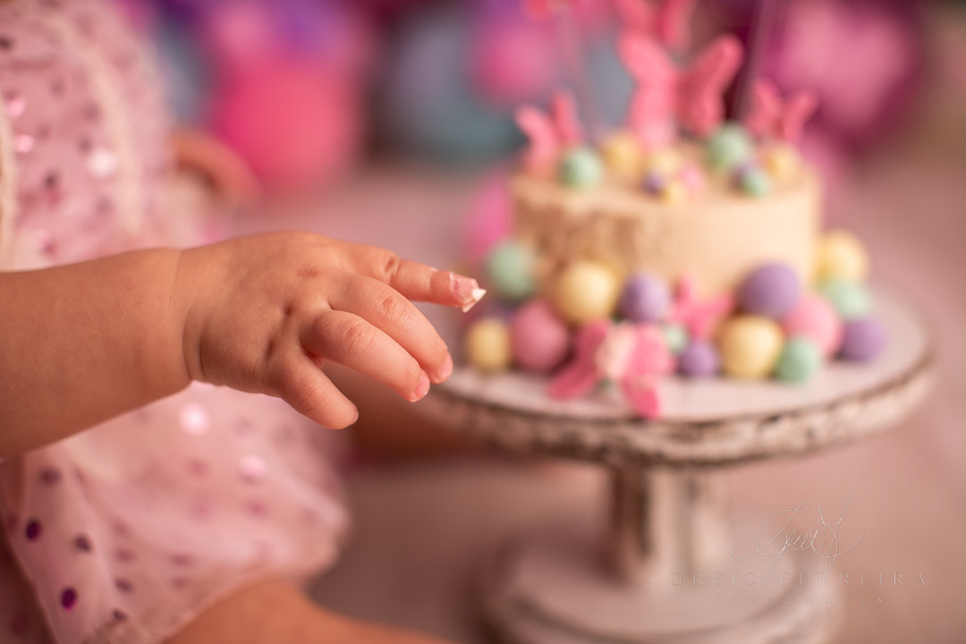 smash the cake borboleta com bebe