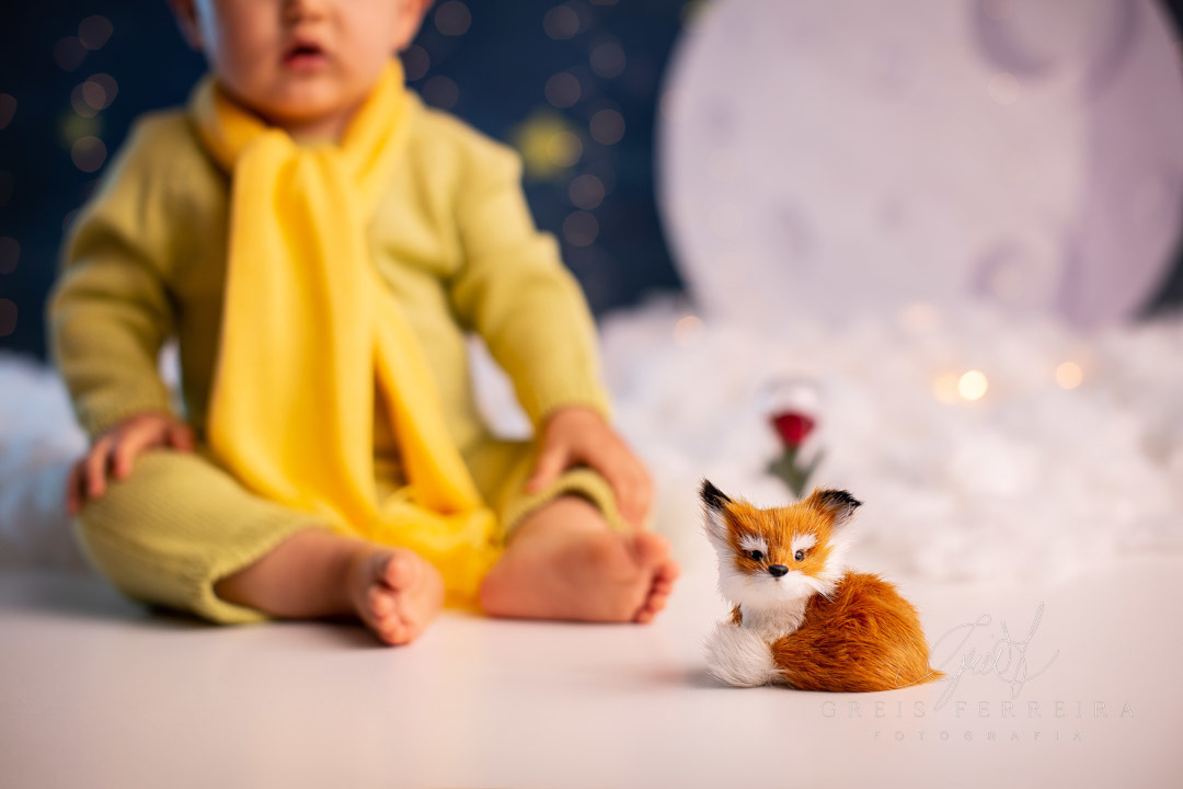 Pequeno Príncipe ensaio bebe 1 ano menino