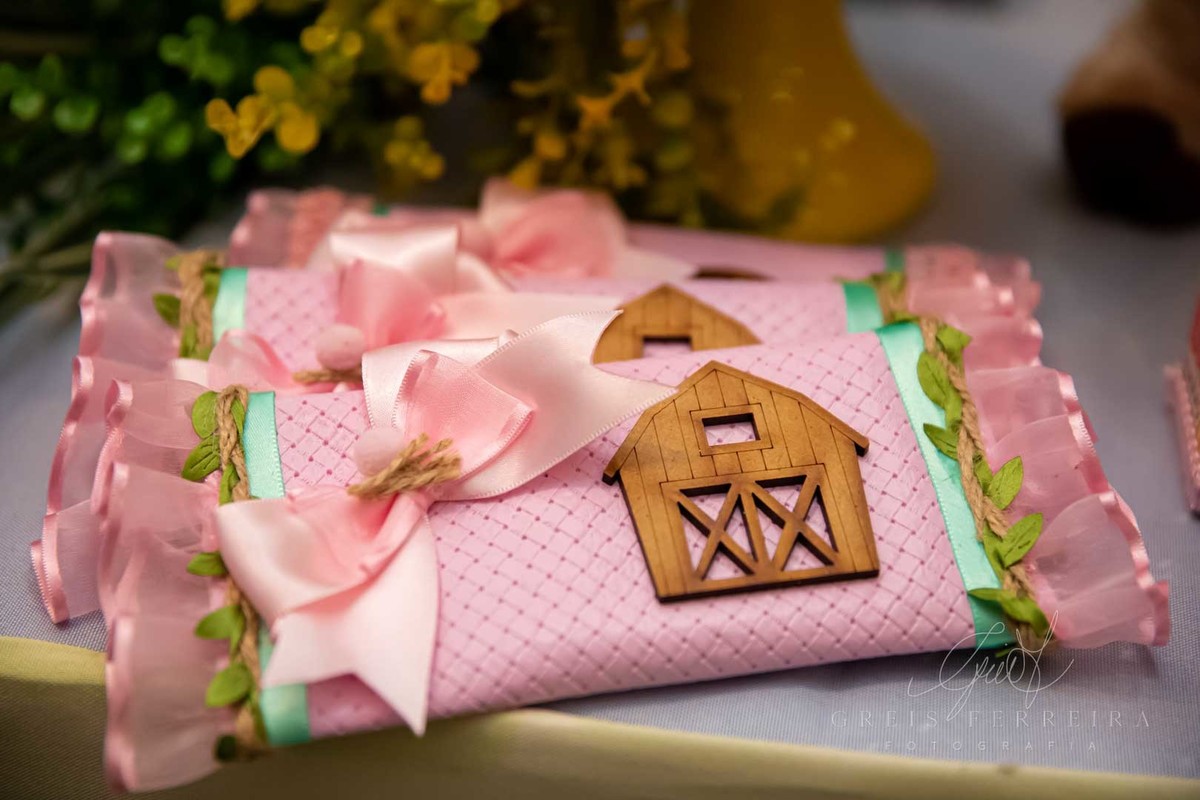 festa de aniversario 2 anos menina castelo das cores tema fazendinha