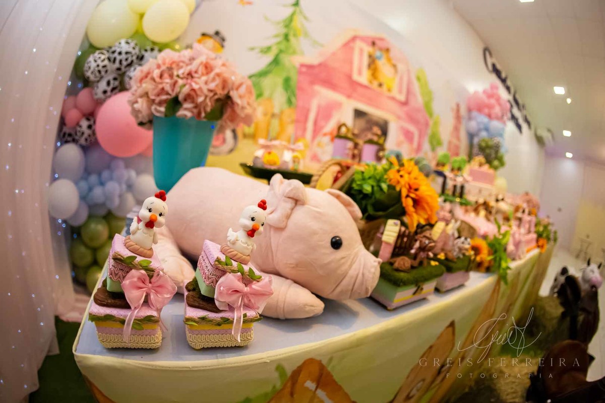 festa de aniversario 2 anos menina castelo das cores tema fazendinha