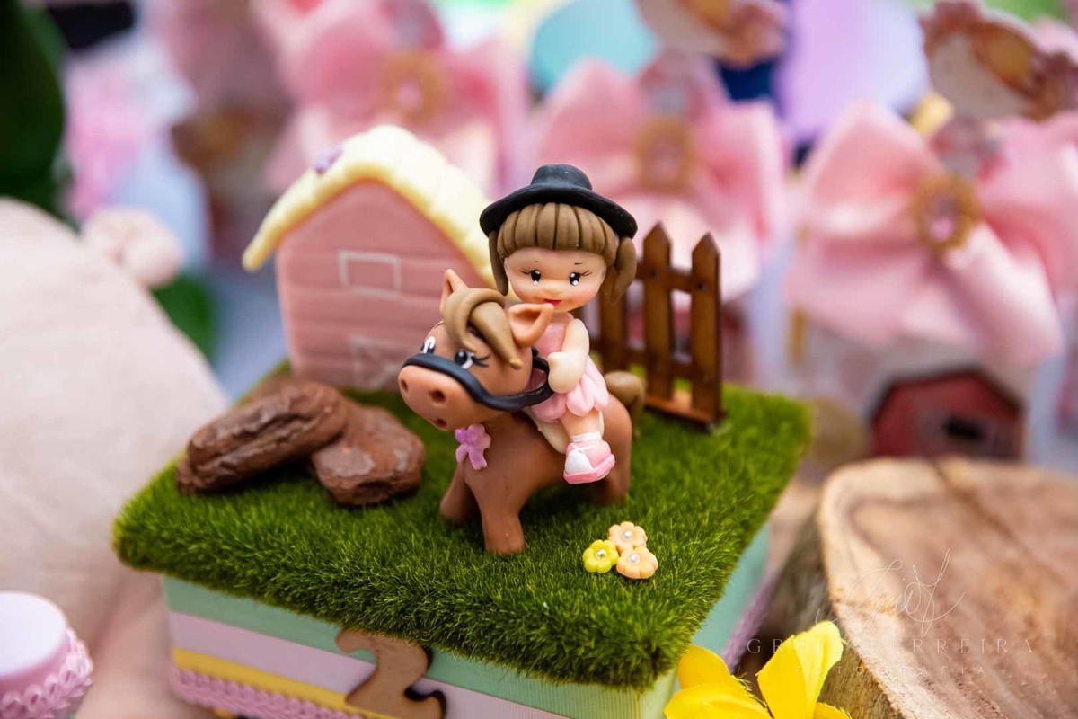 festa de aniversario 2 anos menina castelo das cores tema fazendinha