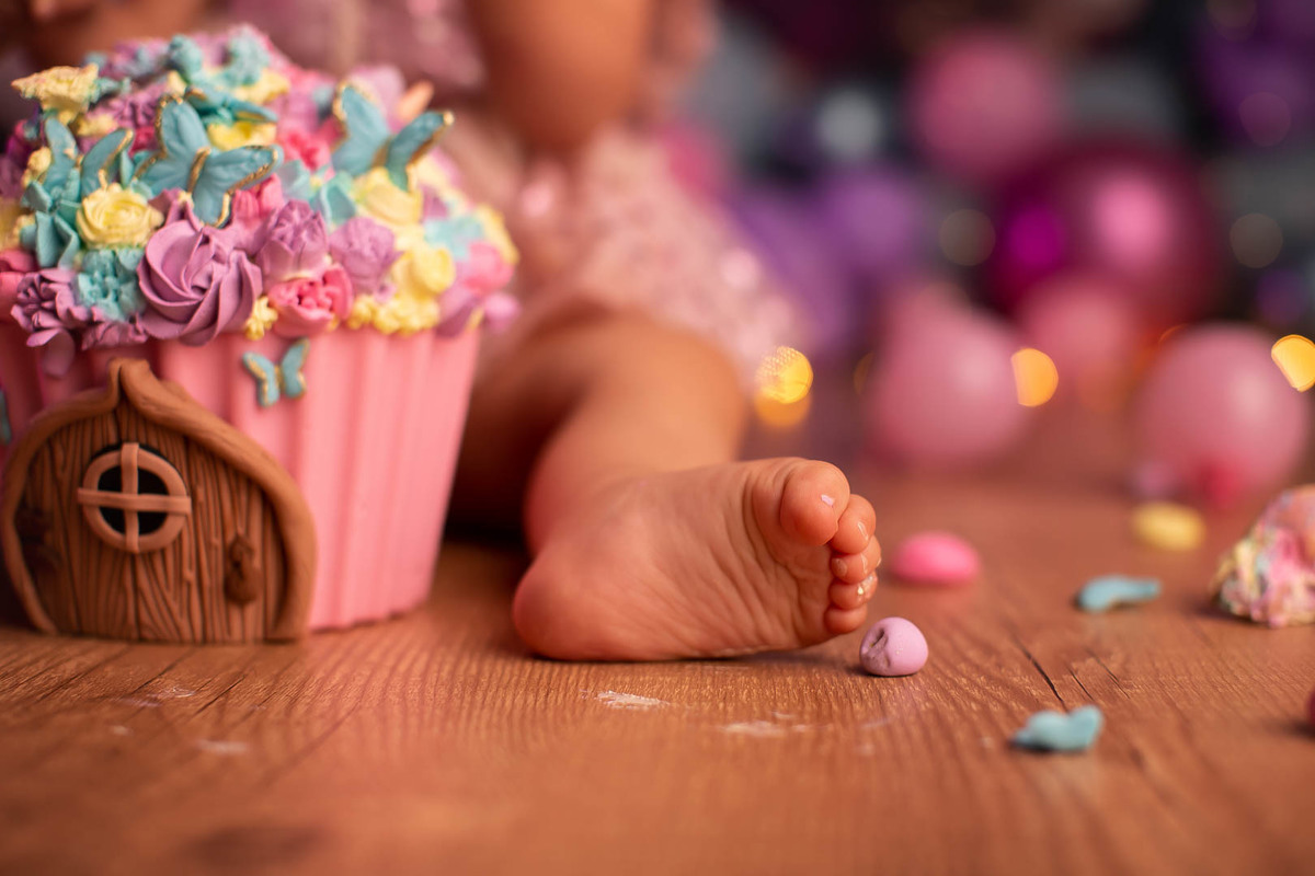 smash the cake ensaio bebe borboleta