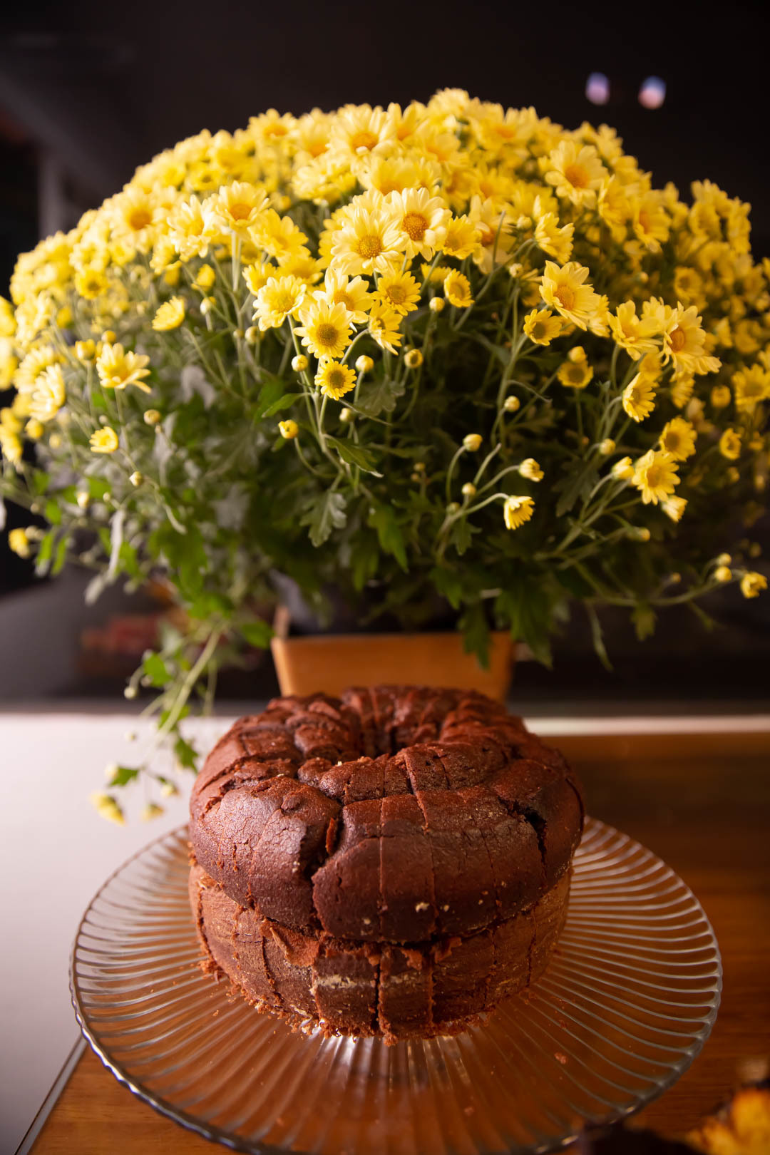 festa de aniversario 1 ano tema bolofofos salao de festa festa na floresta