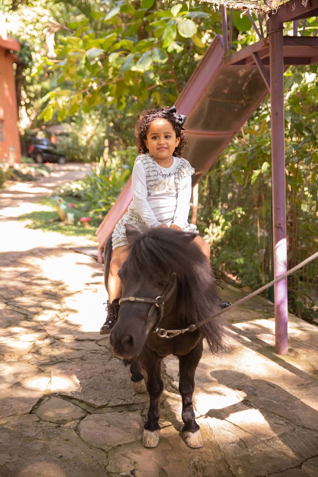 festa de aniversario 1 ano tema bolofofos salao de festa festa na floresta