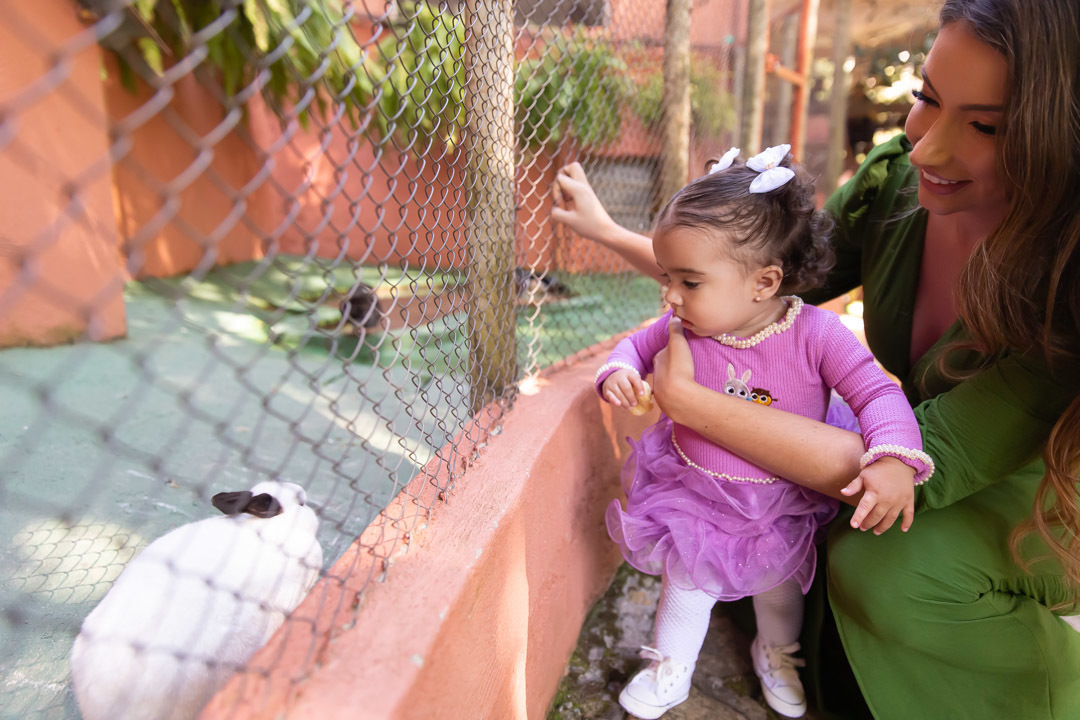 festa de aniversario 1 ano tema bolofofos salao de festa festa na floresta