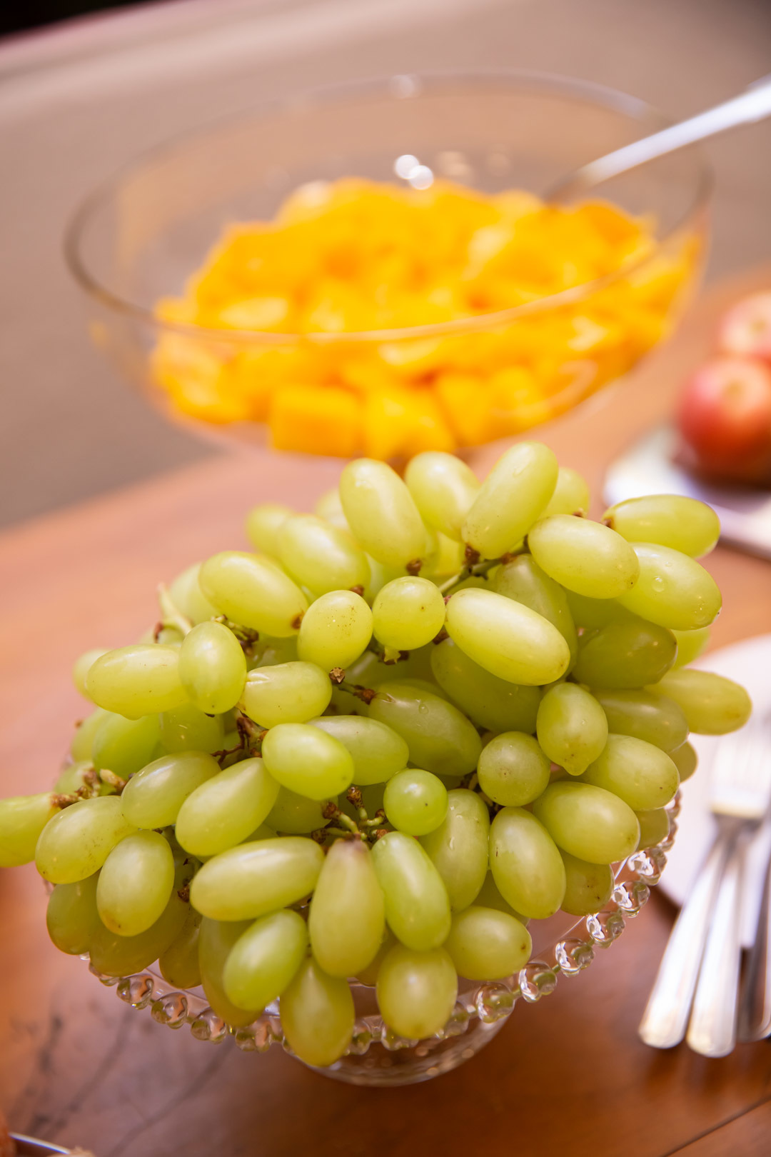 festa de aniversario 1 ano tema bolofofos salao de festa festa na floresta