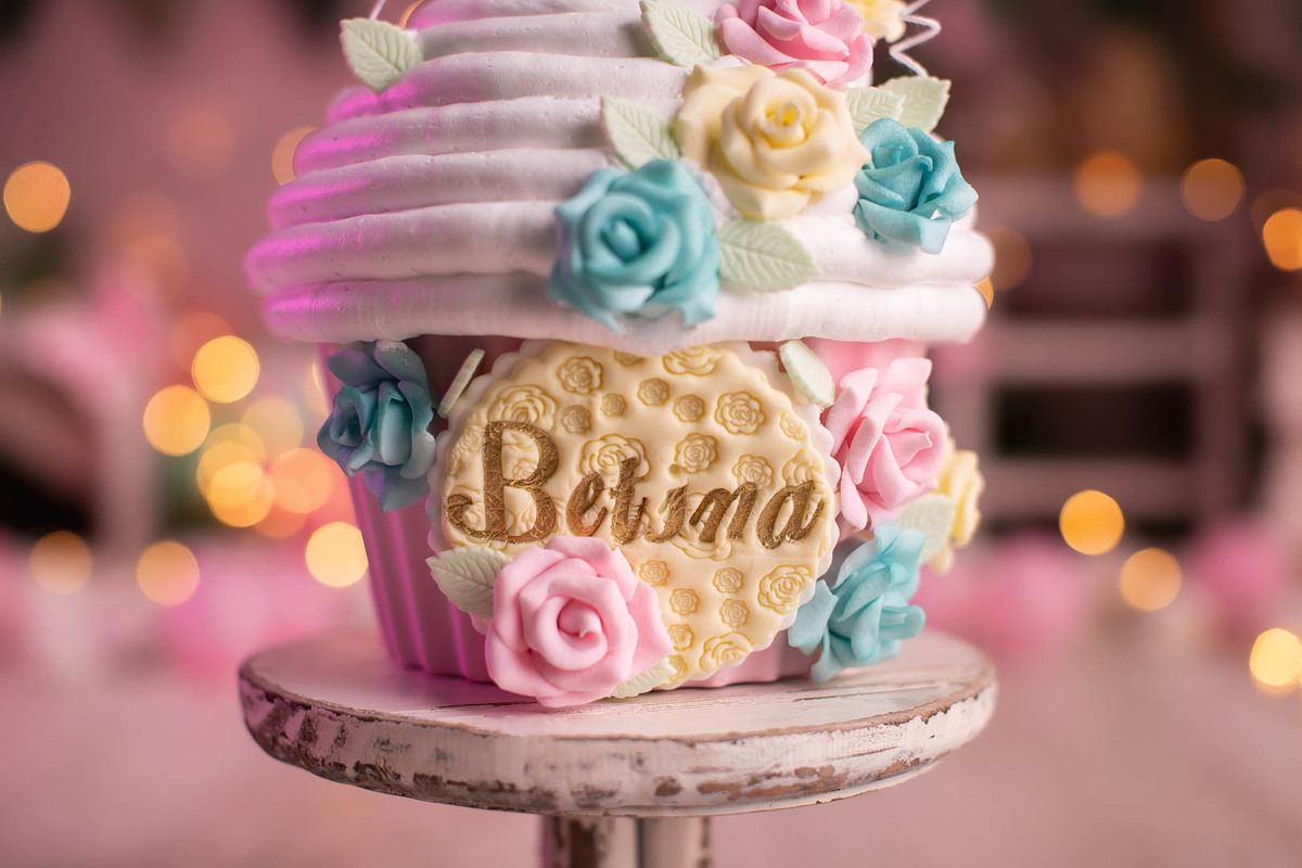 smash the cake jardim encantado menina 1 ano bebe 11 meses