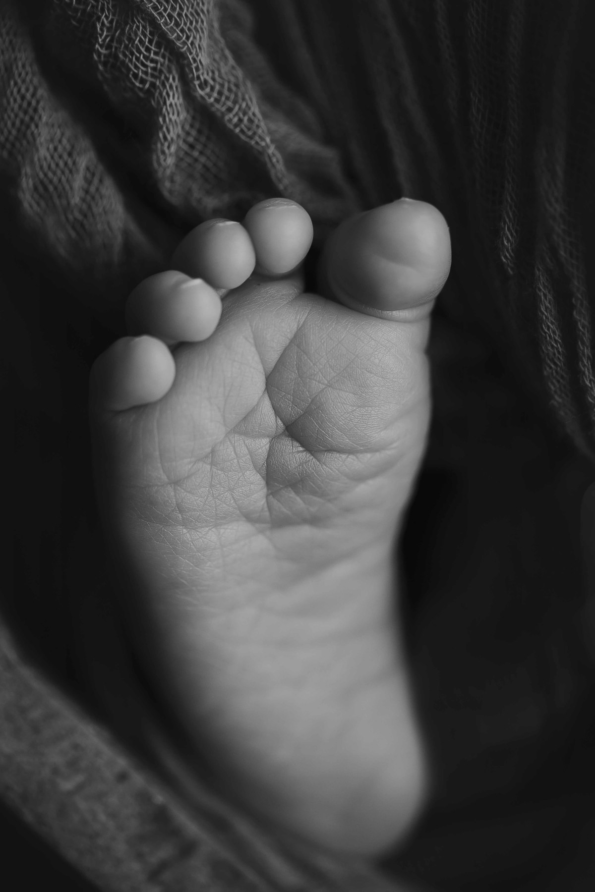 ensaio recem nascido recém-nascido bebe new born newborn